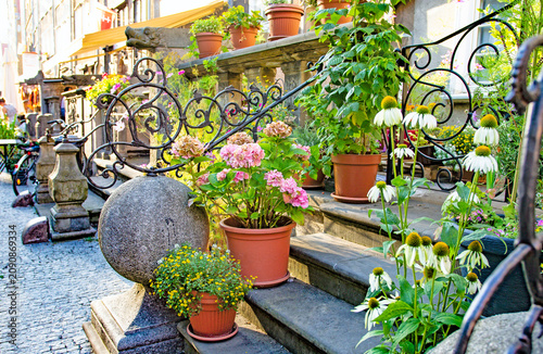 Fotografie Flower pots and ornate railings on Mariacka Street in Gdans