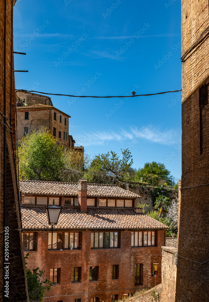 Fototapeta premium View through a narrow opening toward rooftops and greenery in Siena’s historic center. A peaceful composition that mixes old architecture with a natural hillside backdrop.