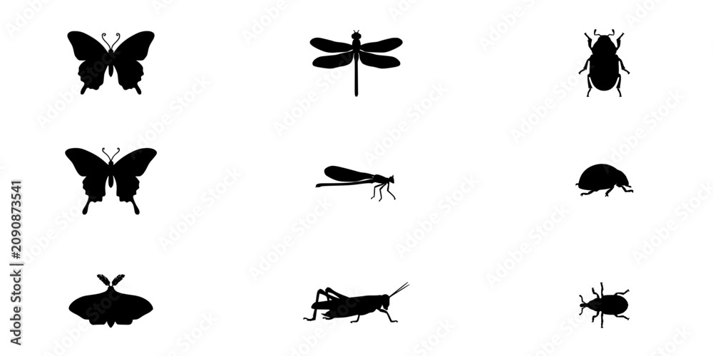 Fototapeta premium Insect Silhouettes Set of Nine Detailed Black Winged Bugs and Beetle, Dragonfly and Grasshopper Shapes on White Background