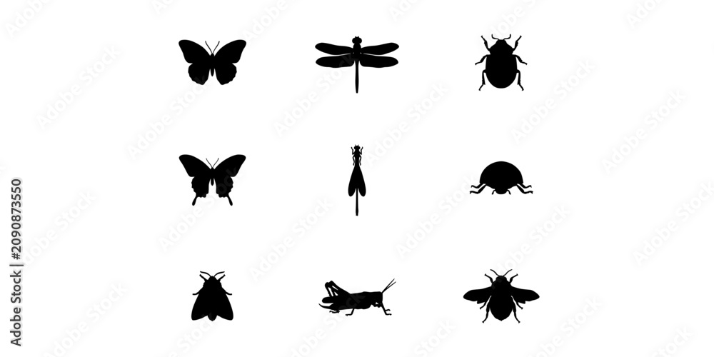 Fototapeta premium Insects Set of Nine Black Silhouette Icons on White Background with Diverse Wings and Antennae for Nature Concept Design