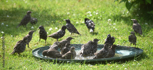 Stare baden zusammen