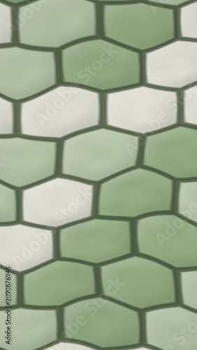 Hexagonal Pattern with Green and White Tiles