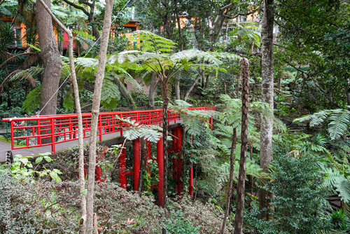 Lush Green Park with Traditional Chinese Architecture under Clear Blue Sky