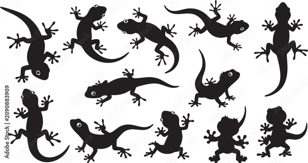 Obraz premium Black silhouettes of lizards in various poses on white background reptiles