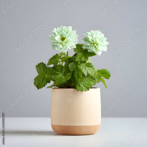 Elegant Flower Arrangements for Every Occasion