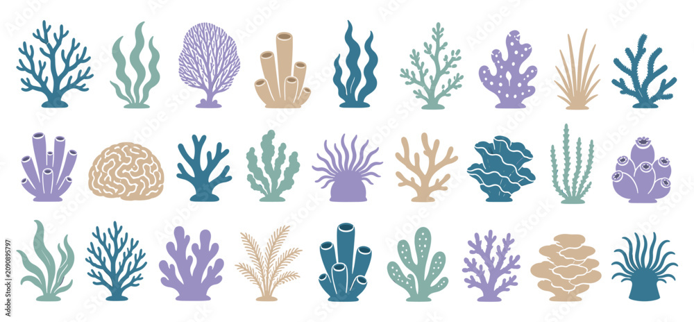 Fototapeta premium Large collection of colorful coral and seaweed illustrations in a flat, minimalist style, featuring various underwater plants like anemones and sponges in a decorative set