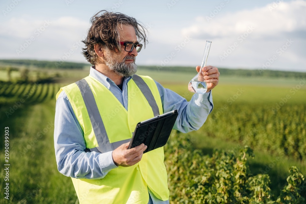 Fototapeta premium Middle-aged man in reflective safety vest examines liquid in a laboratory flask while holding a tablet outdoors in a vineyard landscape under a clear sky