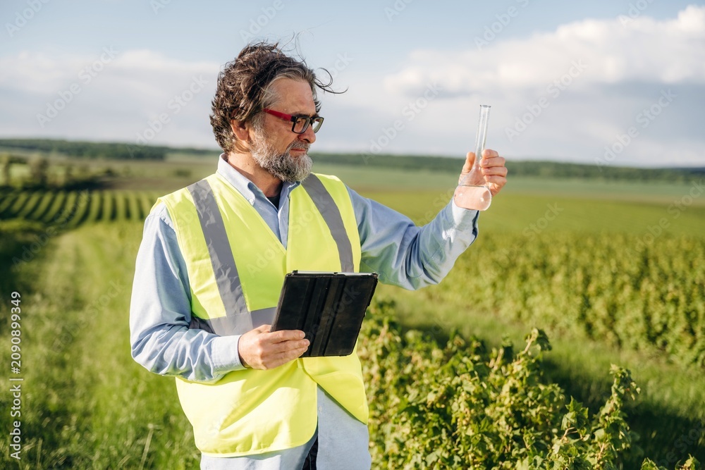 Fototapeta premium Male agricultural scientist in reflective safety vest examines test tube while holding tablet in vineyard field with rows of grapevines and blue sky in background