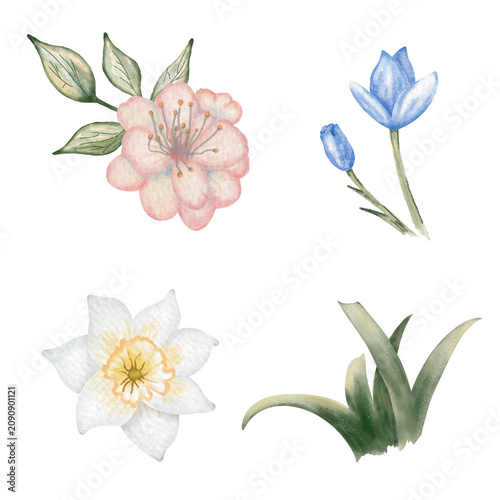 Different types of flowers and leaves on a white background for a simple floral design