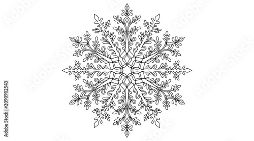 Snowflake Line Art Illustration Winter Vector Graphic