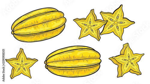 Konstfotografi Star fruit drawing with whole carambola and star shaped slices isolated on white background vector illustration set of tropical exotic fruit for food design