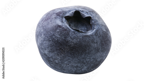 Fotografie Single ripe dark blue blueberry with star-shaped calyx remnant, isolated on tran