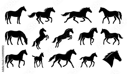 Photos Horse Silhouette Icons Vector Collection EPS10
