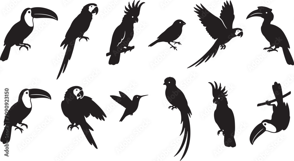 Obraz premium Toucan, parrot, bird silhouettes, black icons, tropical wildlife set, 12 vector graphics isolated on Transparent Background