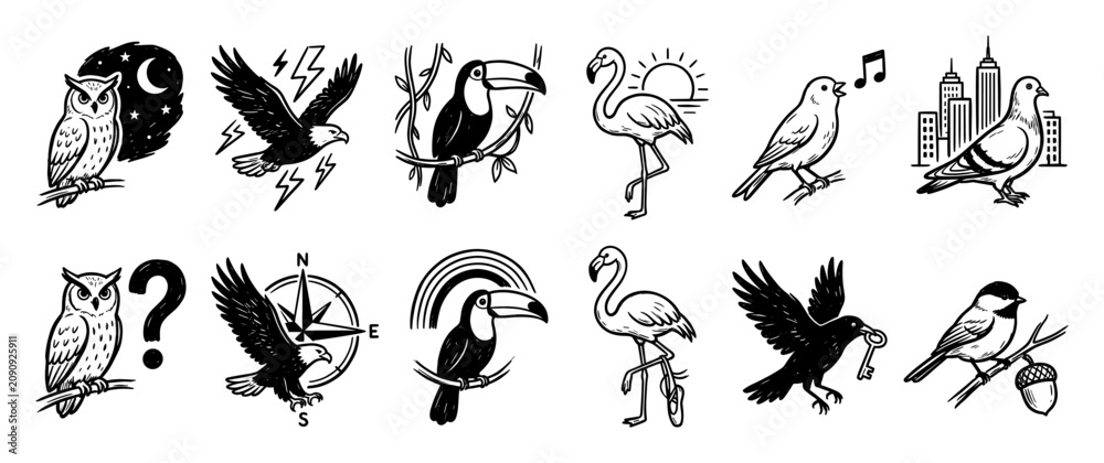 Fototapeta premium Set of various bird species with symbolic meanings for graphic projects and wildlife education