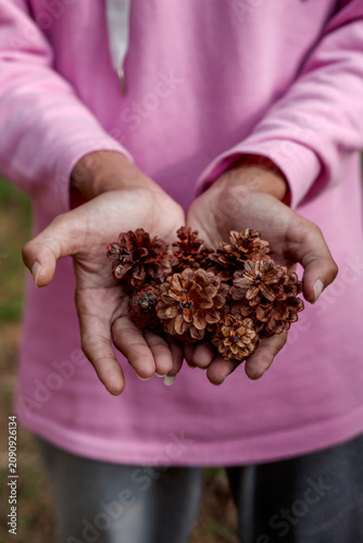 Hands Holding a Handful of Small Pine Cones