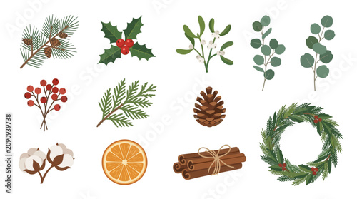 Foto Christmas decorations with pinecones holly eucalyptus and cinnamon on white back