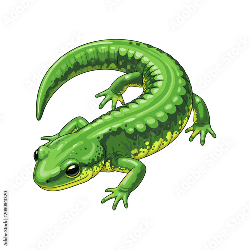 Green Salamander Amphibian Lizard Vector Illustration