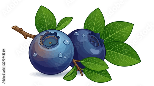 Принти на полотні Recreate blueberries with leaves and stem on a branch