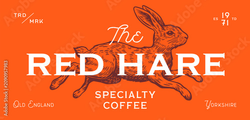 Photos Hare, rabbit sketch