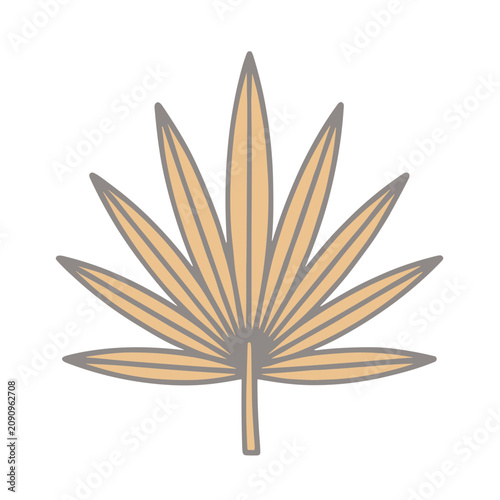 Tropical Leaf Flat Vector Icon