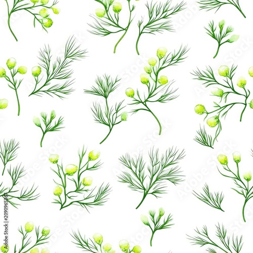 Green dill herb pattern with delicate leaves and buds on white background