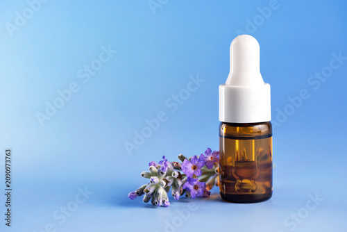 Lavender flowers and a bottle of lavender essential oil on a blue background.