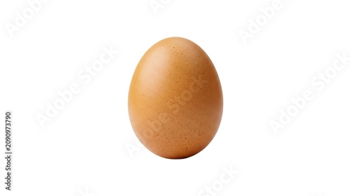 Brown egg with a speckled textured shell standing upright showing subtle natural color variations rendered in PNG format isolated on a transparent background