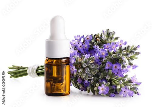 Bouquet of lavender and a bottle of lavender essential oil isolated on a white background. With clipping path.