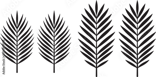 Fotografie Four palm frond silhouettes tropical leaf design isolated on transparent backgro