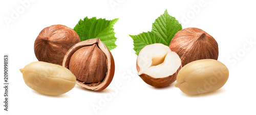 Peanut and hazelnut nuts with green leaves isolated on white background. Real photography.