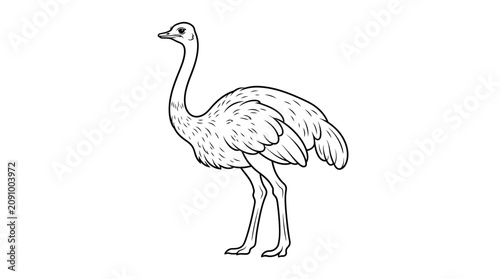 Quadro su tela An ostrich silhouette stands alone in a clean black illustration.
