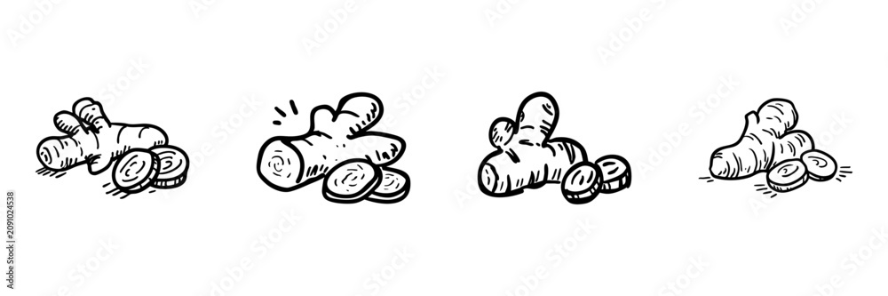 Fototapeta premium Ginger Root And Slices In Hand Drawn Style Set. Culinary Ingredient Doodle Sketch Collection. Spice And Herb For Cooking And Recipes. Isolated Vector Illustration