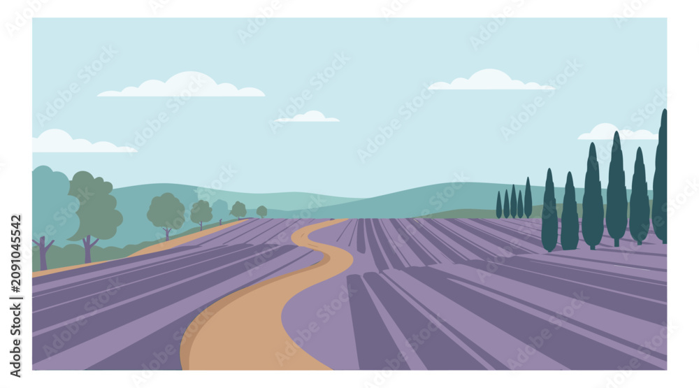 Fototapeta premium Flat illustration of a lavender field depicting a winding path through blooming rows with cypress trees for nature and travel design