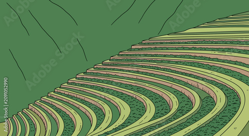 Картината върху платно Terraced Farm Fields Vector Illustration