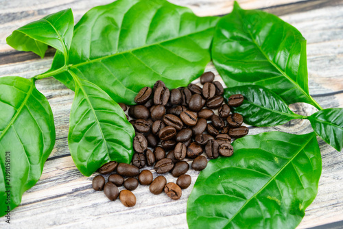 frisch geröstete Kaffeebohnen auf Olivenholz