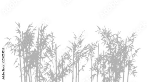 Dense bamboo stem botanical silhouette shadow overlay on a transparent background