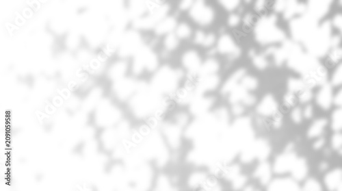 Dense tree canopy foliage dappled sunlight shadow overlay on a transparent background