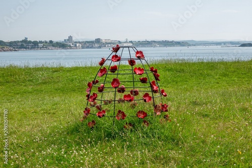 Φωτογραφία Torpoint England - June 24 2026: crinoline skirt of steel camellias by Kate Temp