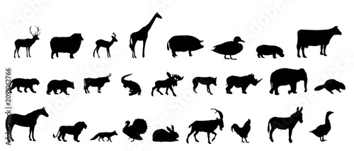 Quadro su tela Collection of diverse black silhouette animals including deer giraffe lion and v