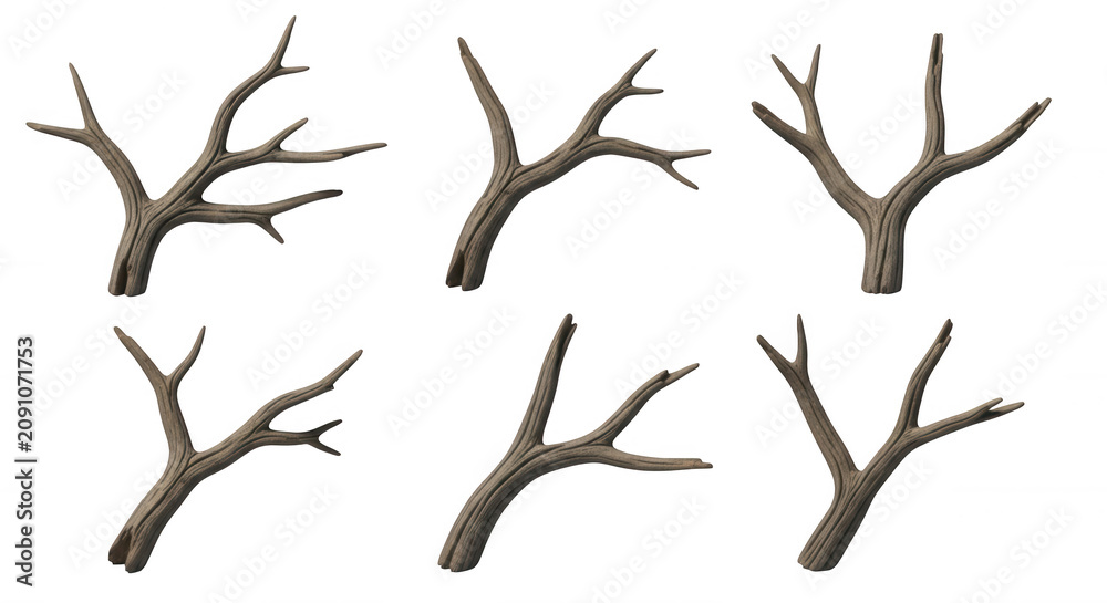 Fototapeta premium 3d rendered tree branches multiple angles of isolated weathered brown limbs with soft shadows ready for texture or graphic design usage