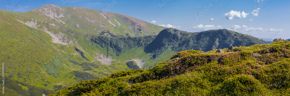 Fototapeta premium Wide panoramic alpine mountain landscape with lush green ridges and distant summits for nature banner background and wallpaper design