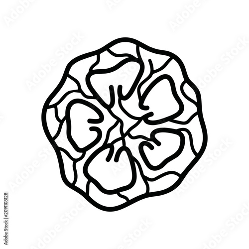 Brain Illustration Black Lines Drawing.