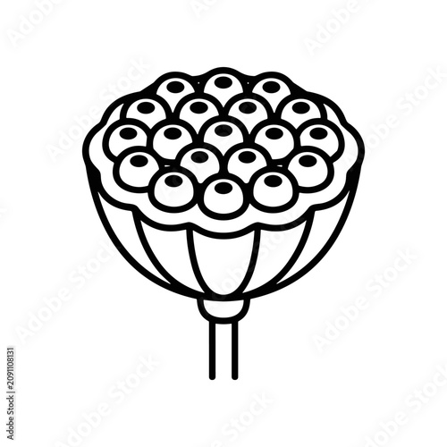 Black and white illustration of grapes.