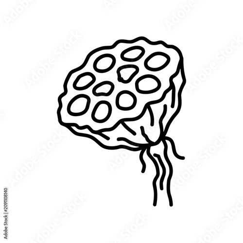 Obraz na plátně Detailed illustration of a mushroom.