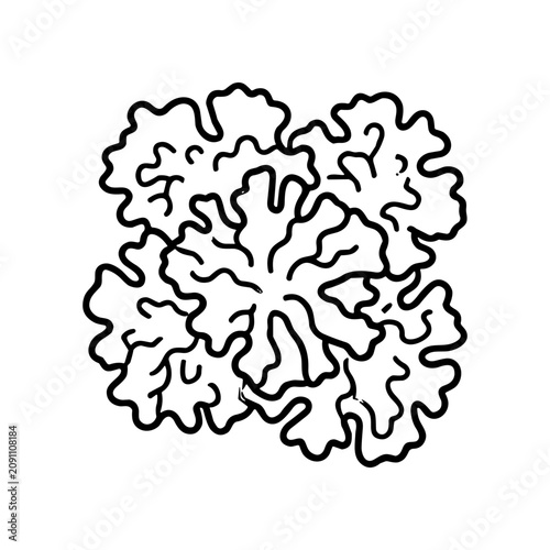 Black and white brain illustration drawing.