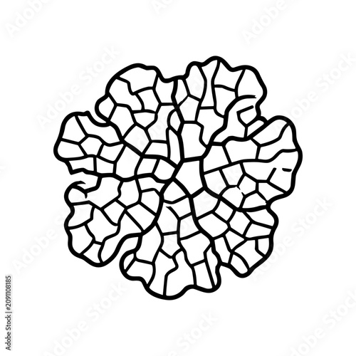 Black and white cracked earth pattern.