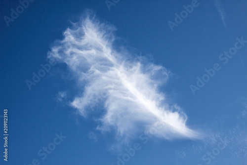 Obraz na plátně Federwolke am Himmel