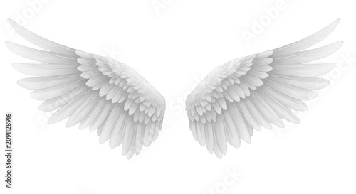 Angel wings spread open with soft feather detail during a gentle ethereal glow isolated on transparent background