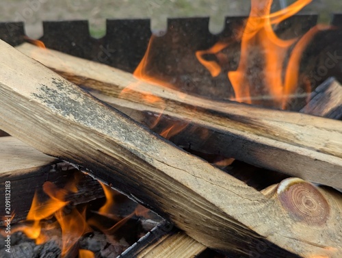 Bonfire flame on day nature rest. Hot warm mood for cook meat.